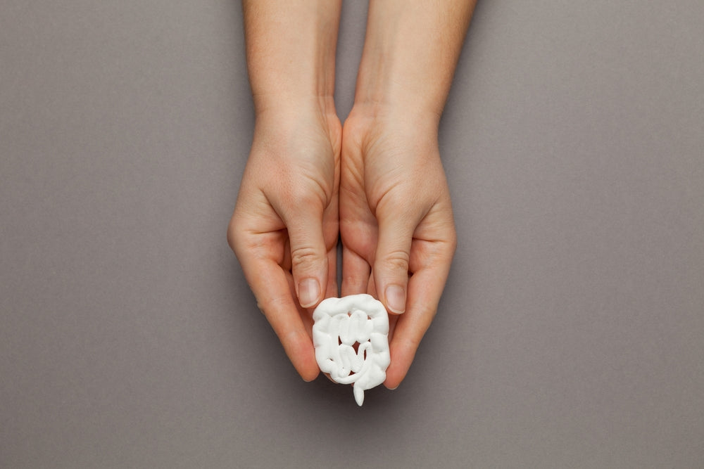 Dysbiosis: What It Is and How to Fix It