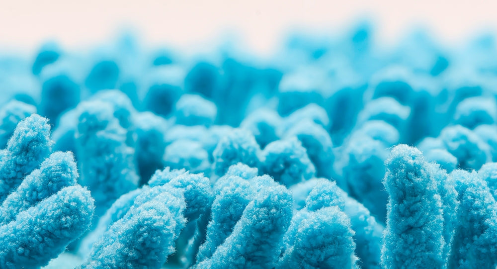 gut microbiome - blue gut bacteria intestinal microvilli