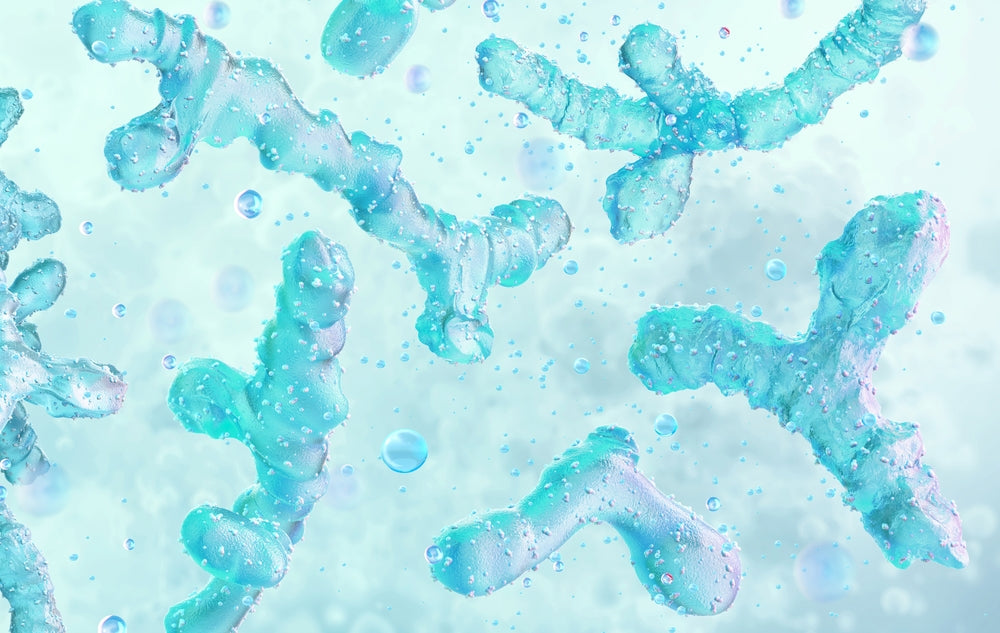List of the Most Common Gut Bacteria