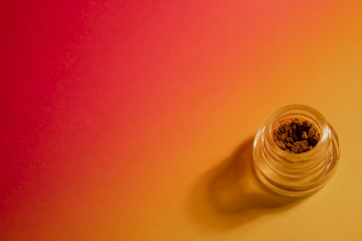 7 Herbs and Spices That Support Your Gut