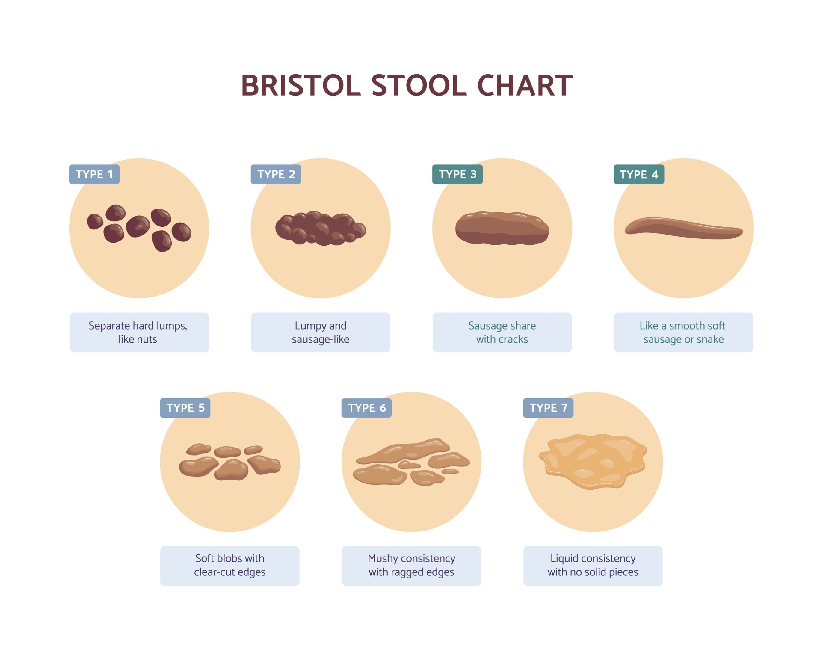 Bristol Stool Chart Breakdown Fifth Ray