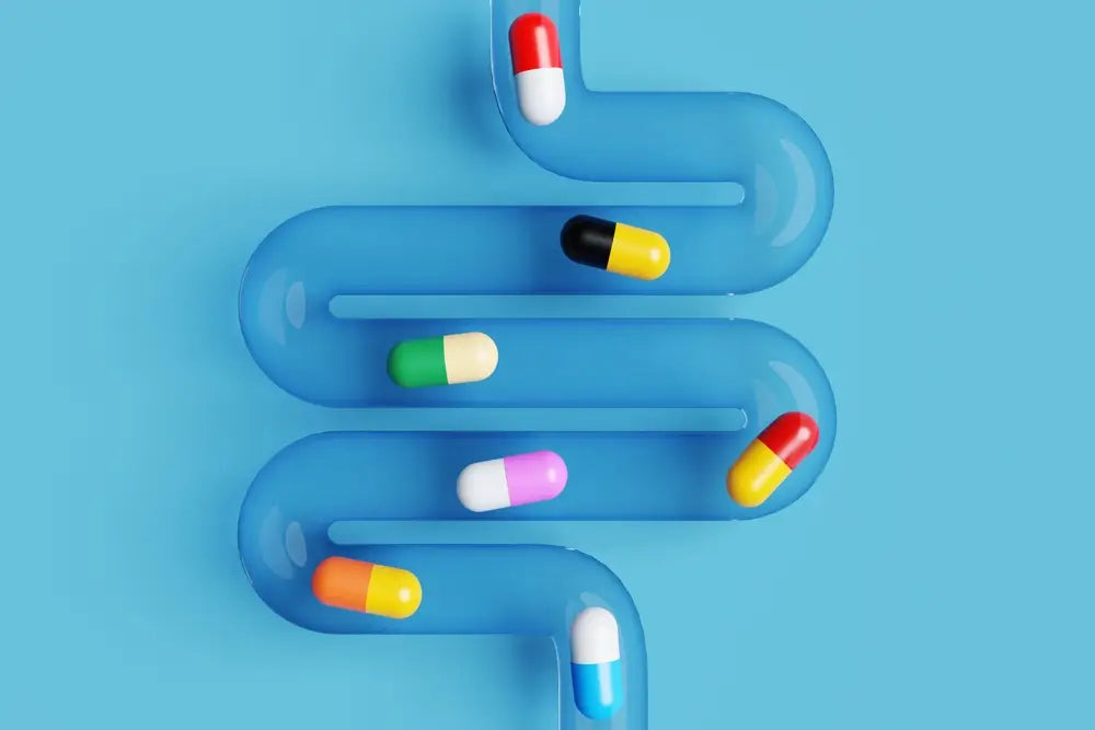 Colorful antibiotics falling down transparent gut intestines on blue background 3D illustration