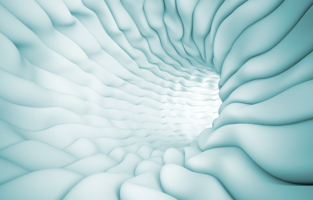 What Is Permeability in the Gut? Leaky Gut Explained