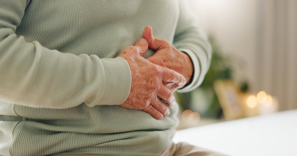 How Long Does It Take Gut Health to Improve - Hands, stomach pain with closeup and gut health, person has digestion issue and nutrition with elderly care. Sick, colon and gas with healthcare and wellness, help and support for stress and illness
