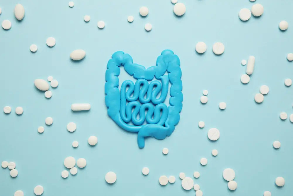 Intestines and pills, probiotics, antibiotics. Gut protection, recovery from illness and treatment.