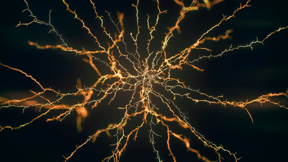 What Is the Vagus Nerve and How Does It Affect Your Gut?