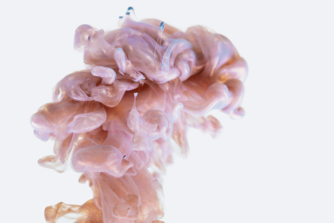 Why Is Your Gut Called Your Second Brain?
