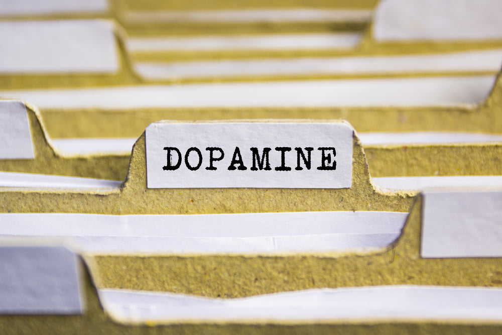Why Your Gut Makes 50% of Your Dopamine - DOPAMINE word on card index paper
