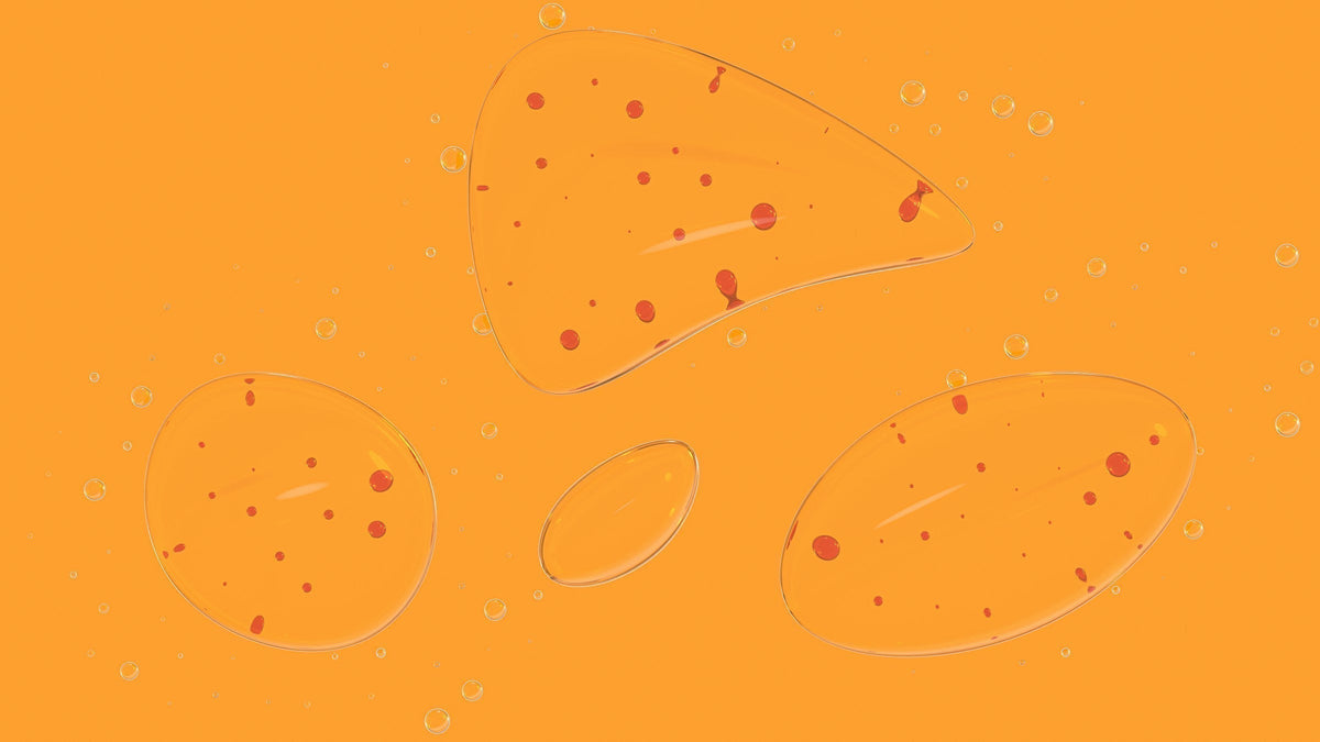 World Microbiome Day 2026