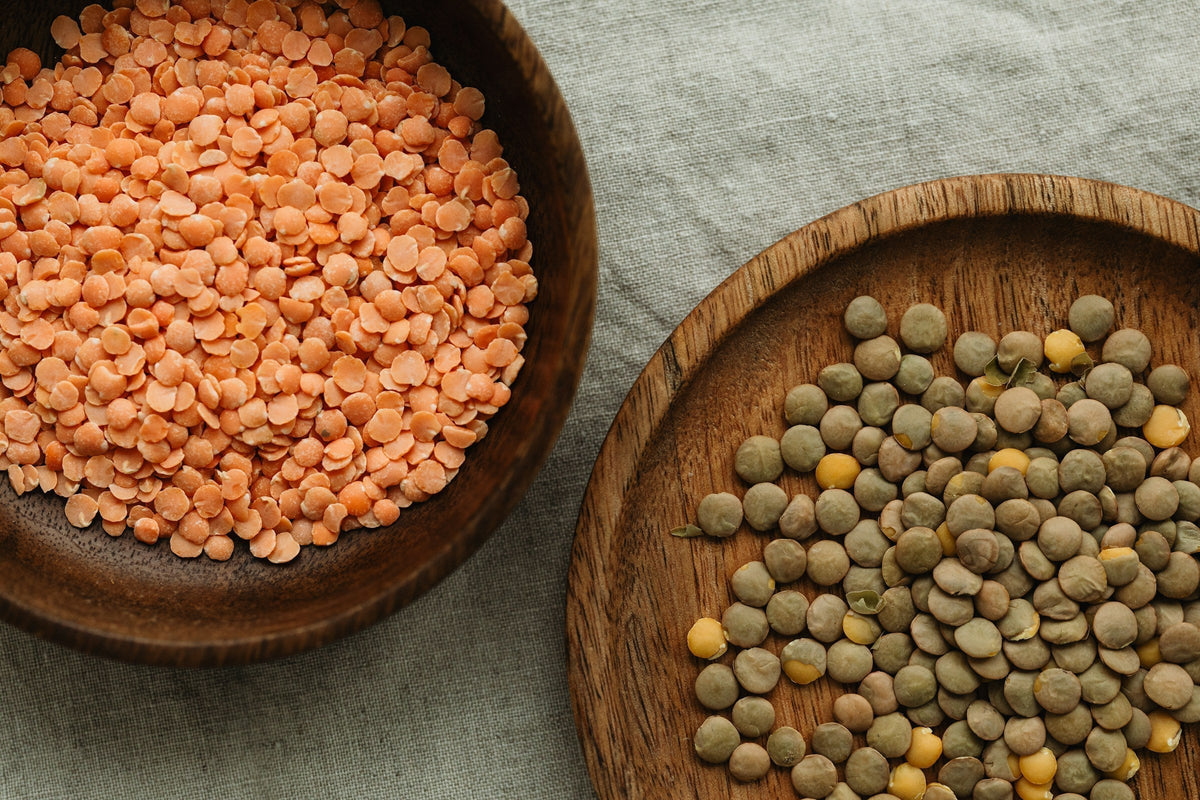 11 Plant-Based Proteins for a Healthy Gut
