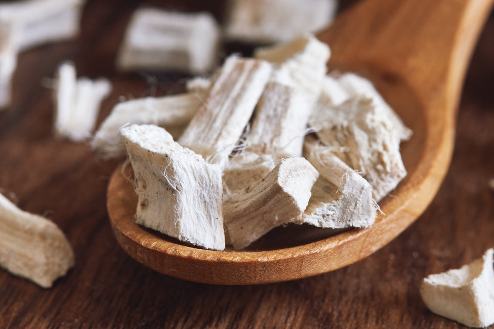 Dried and sliced marshmallow root (Althaea officinalis) in wooden spoon