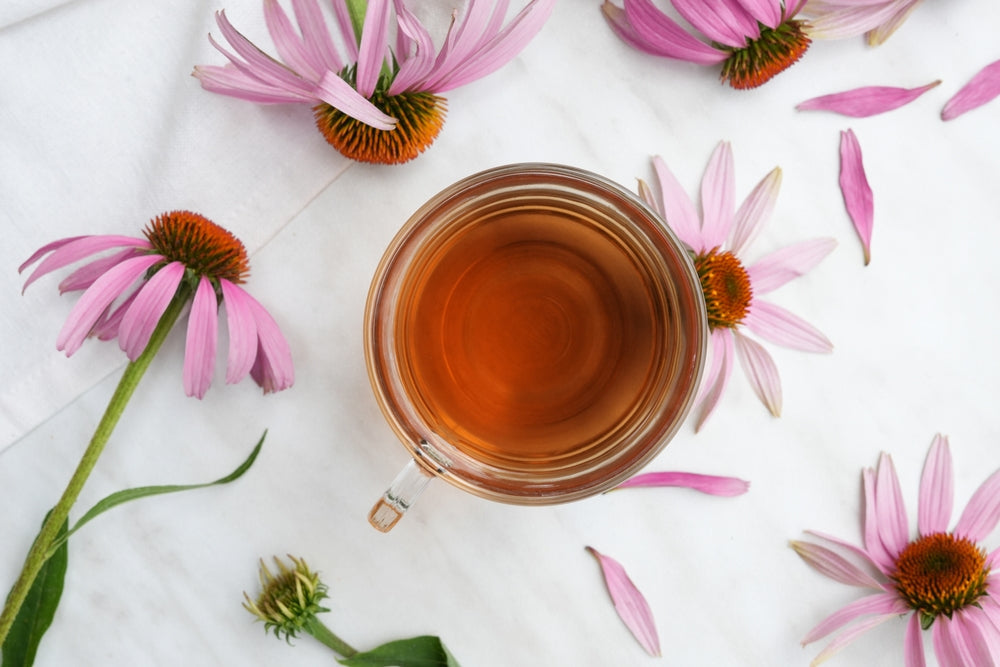 5 Health Benefits of Echinacea Tea