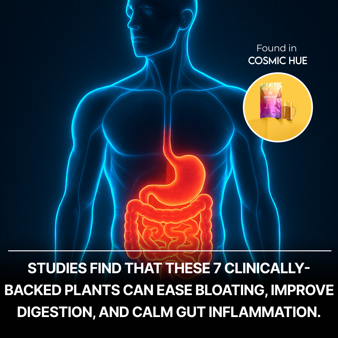 Illustration of a human body with highlighted digestive system, showing product Cosmic Hue that contains 7 clinically-backed plants to ease bloating, improve digestion, and calm gut inflammation.
